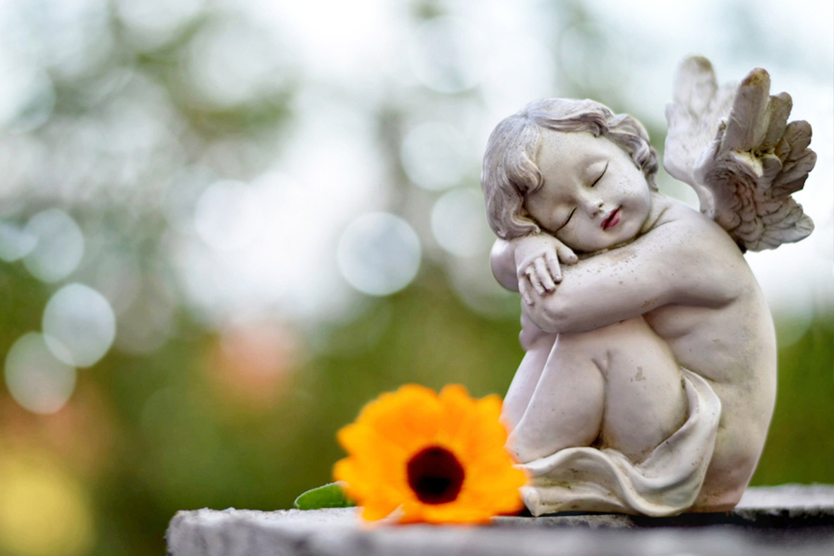 cherub statue and daisy