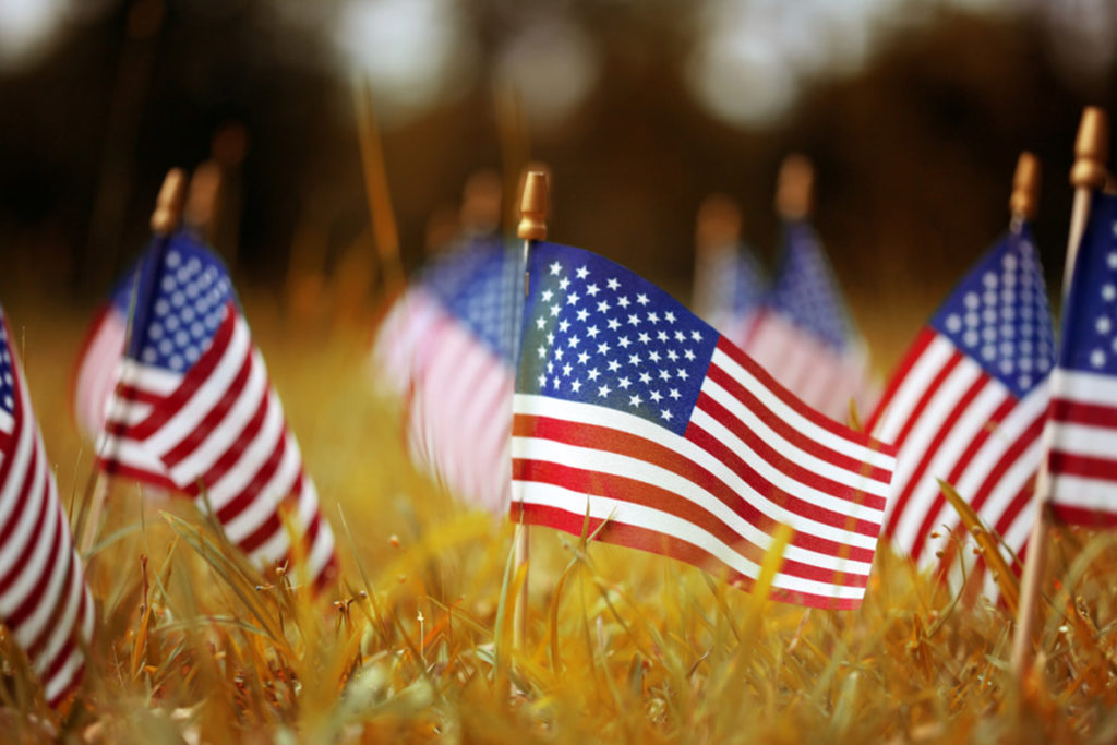 small american flags in field