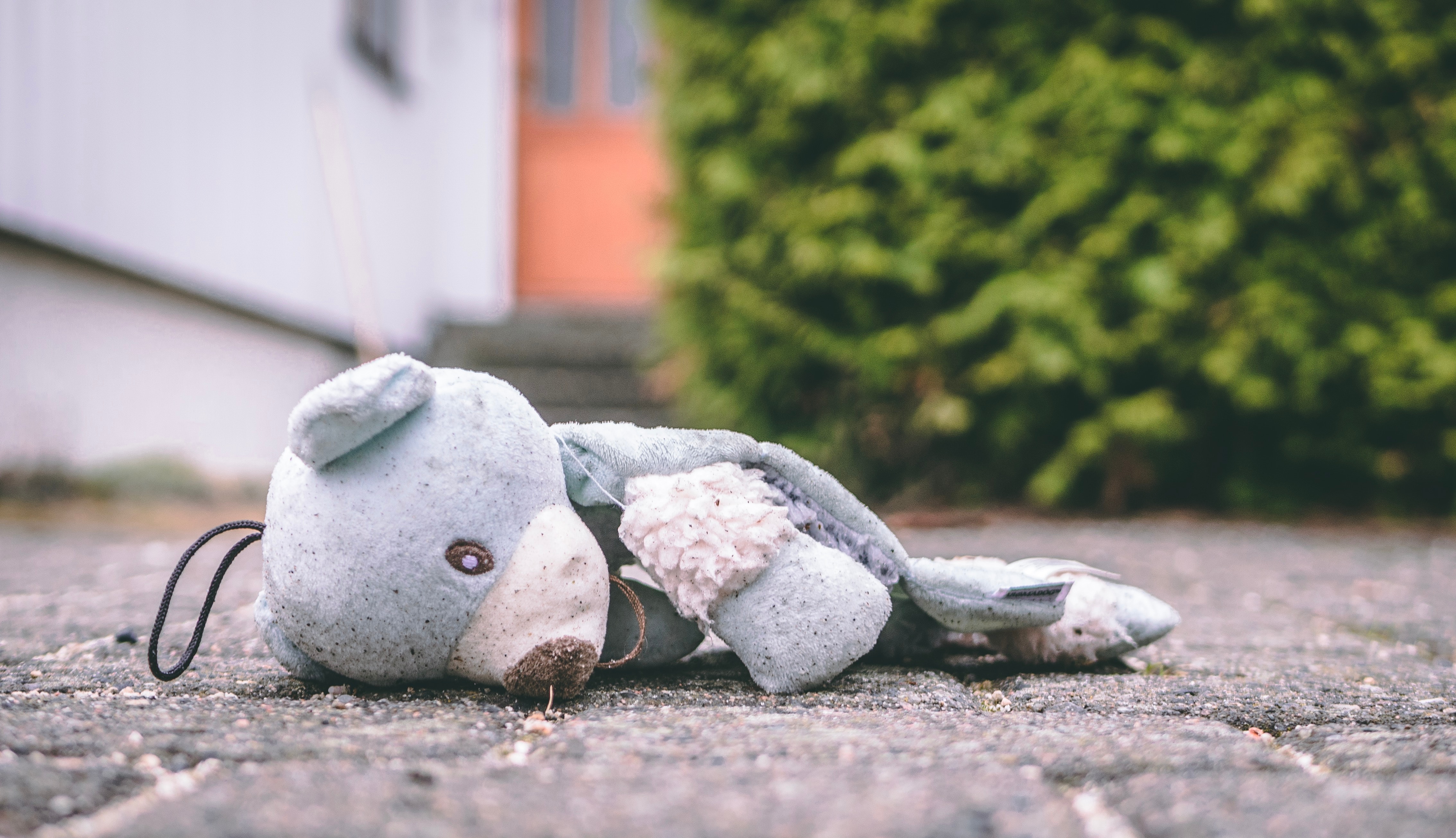 worn stuffed animal on ground