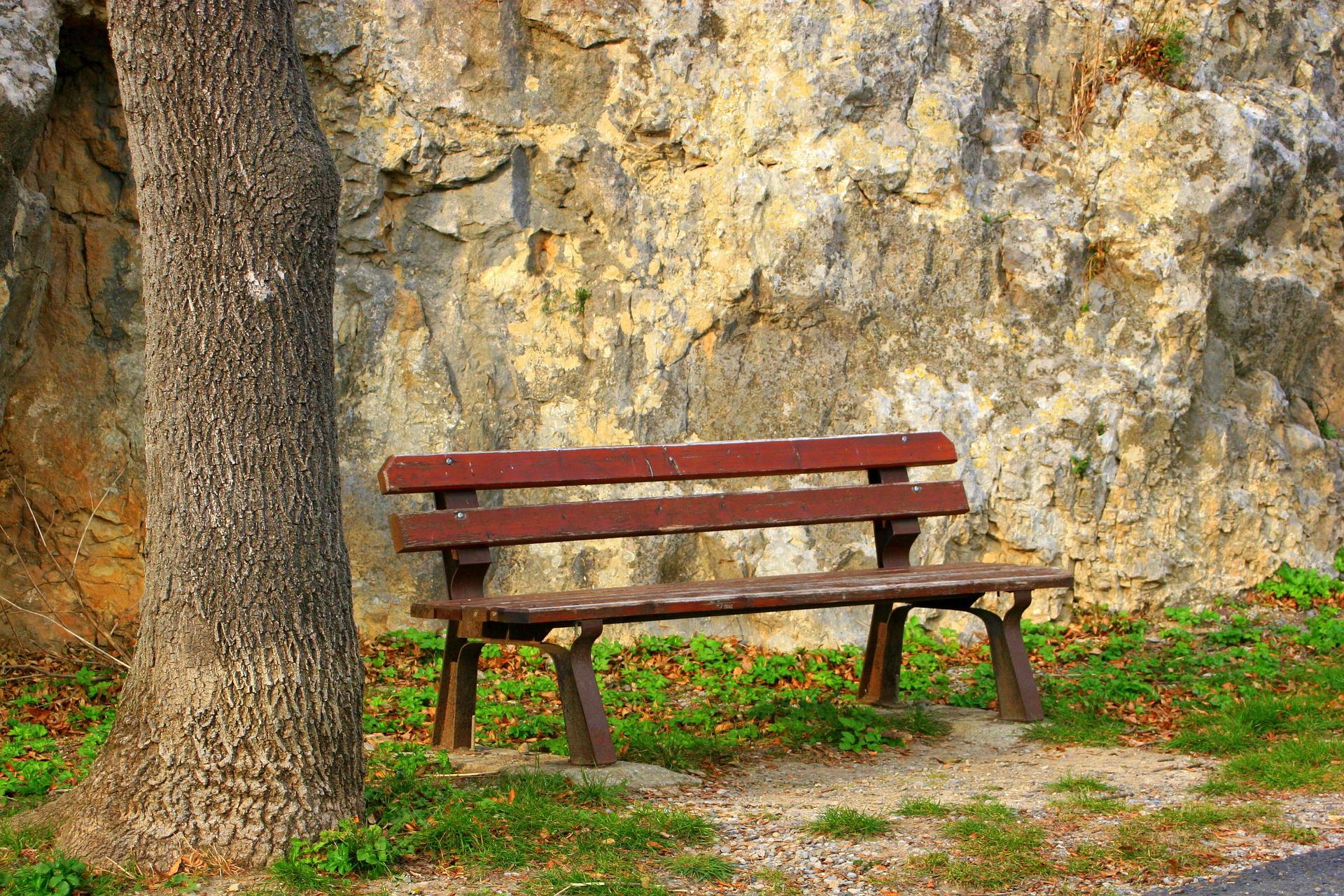 bench